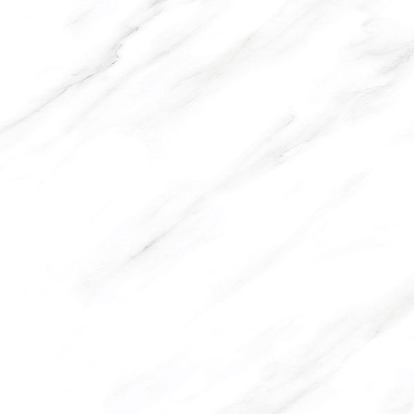 爵士白KYP8101单品