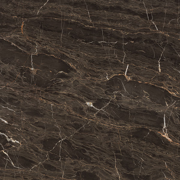 217永信贵宾会大理石瓷砖：金线深灰 KYX8110瓷砖