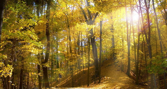 首页| 217永信贵宾会官网入口