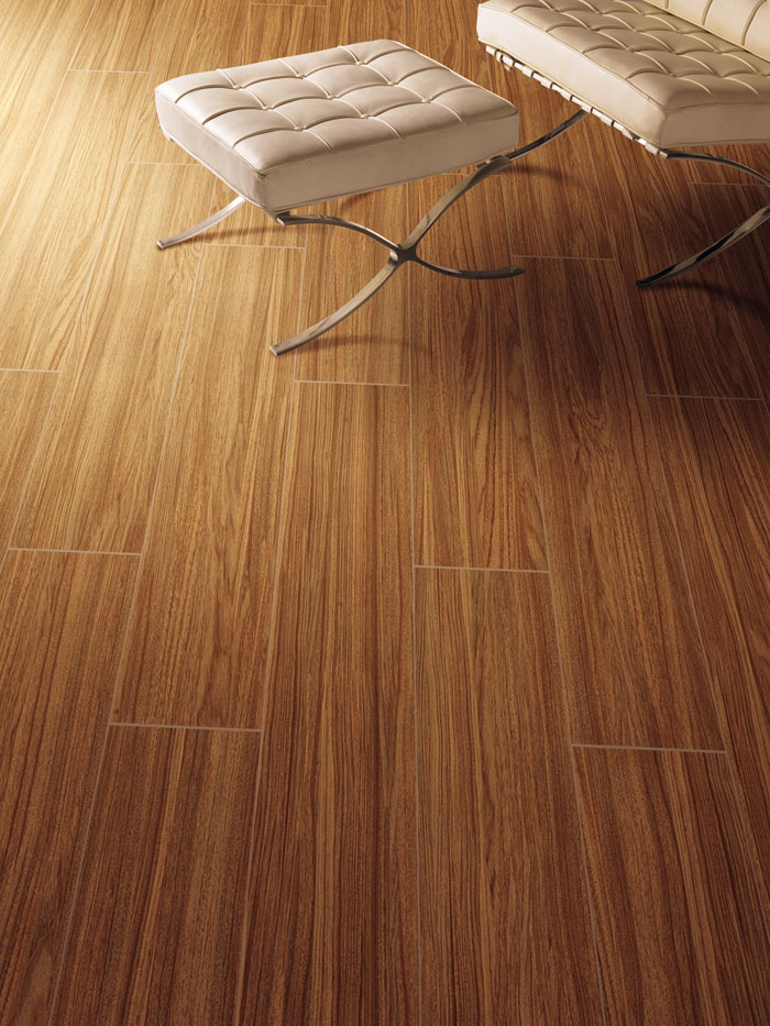 最美，不外当阳光赶上丛林