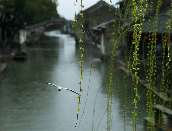 首页| 217永信贵宾会官网入口
