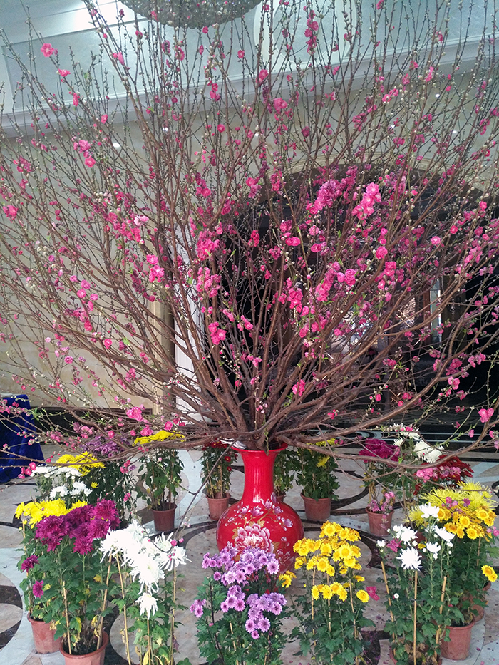 首页| 217永信贵宾会官网入口