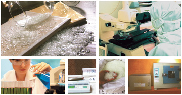 首页| 217永信贵宾会官网入口