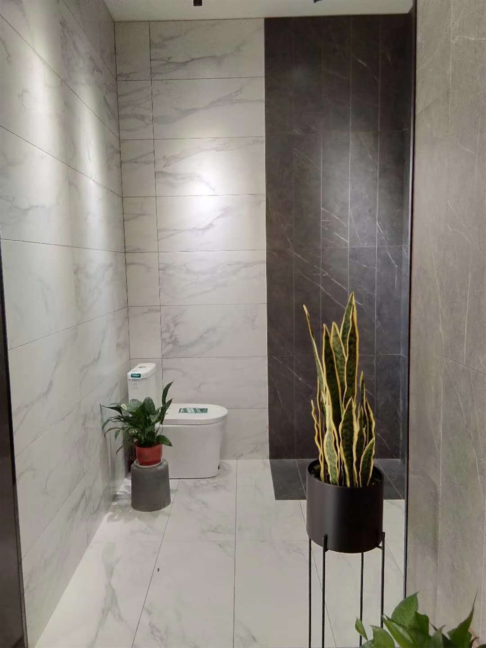 首页| 217永信贵宾会官网入口