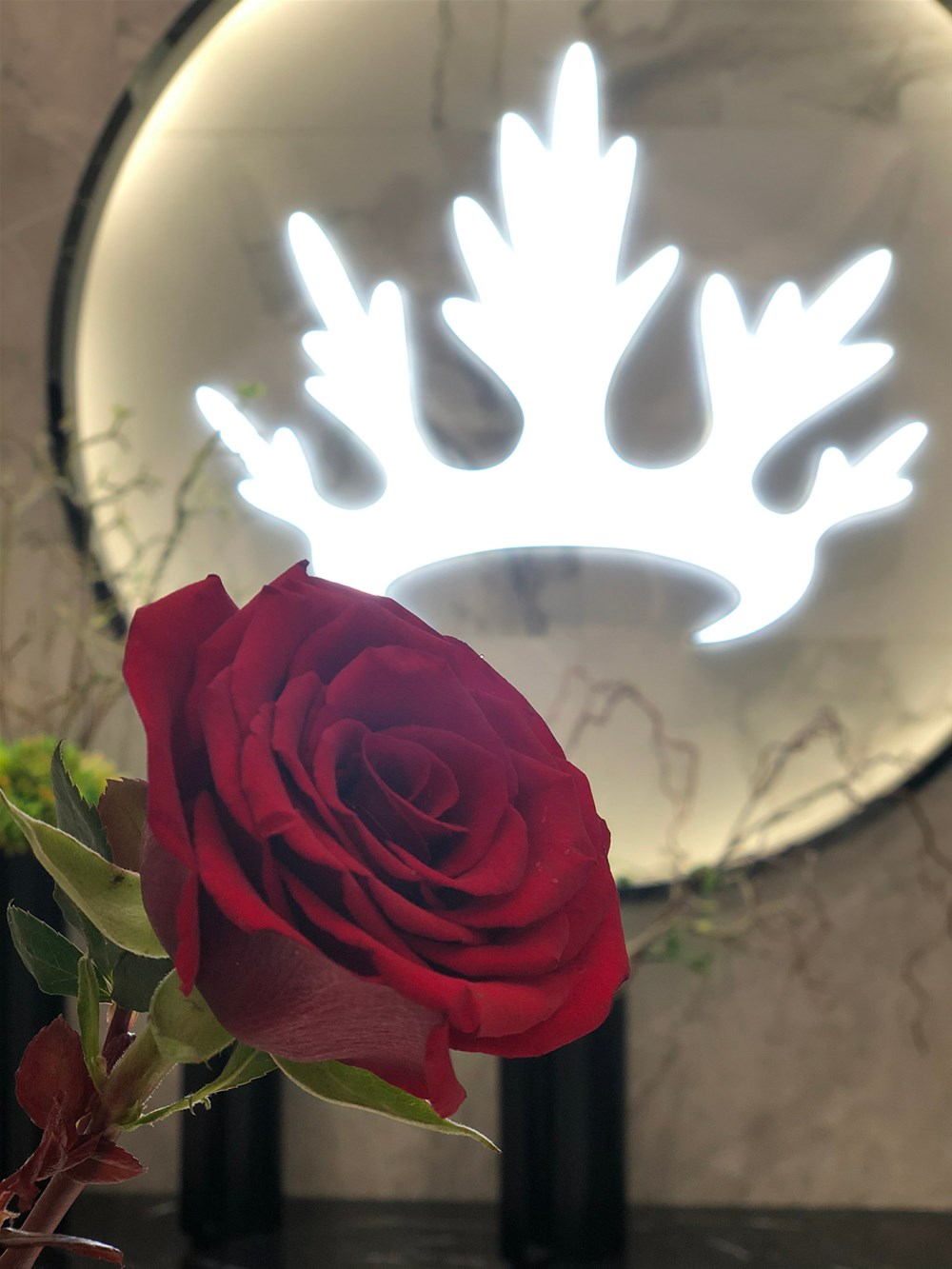 首页| 217永信贵宾会官网入口