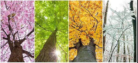 首页| 217永信贵宾会官网入口