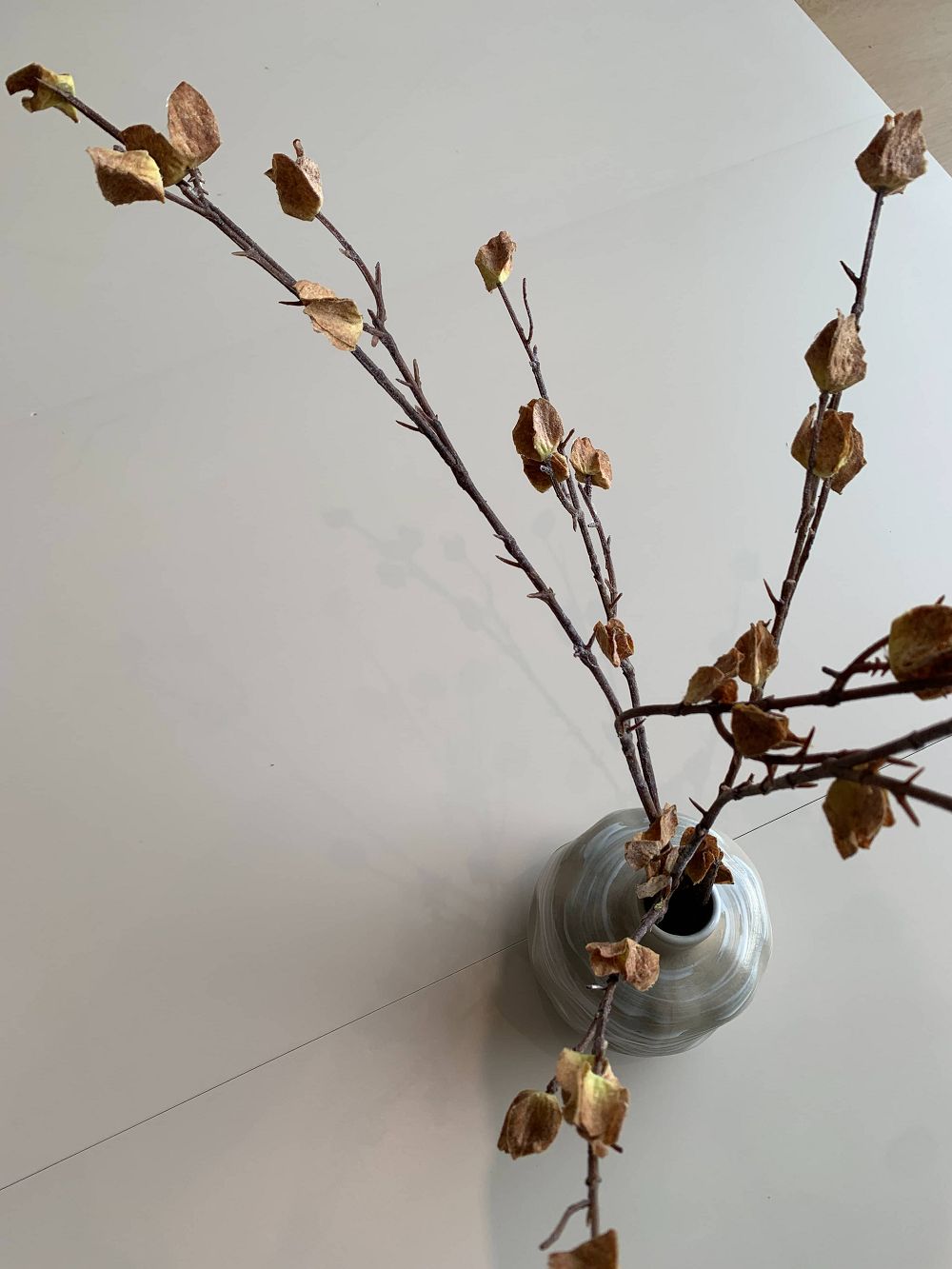 首页| 217永信贵宾会官网入口