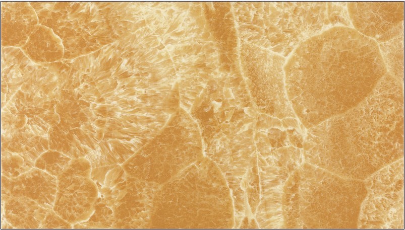 首页| 217永信贵宾会官网入口